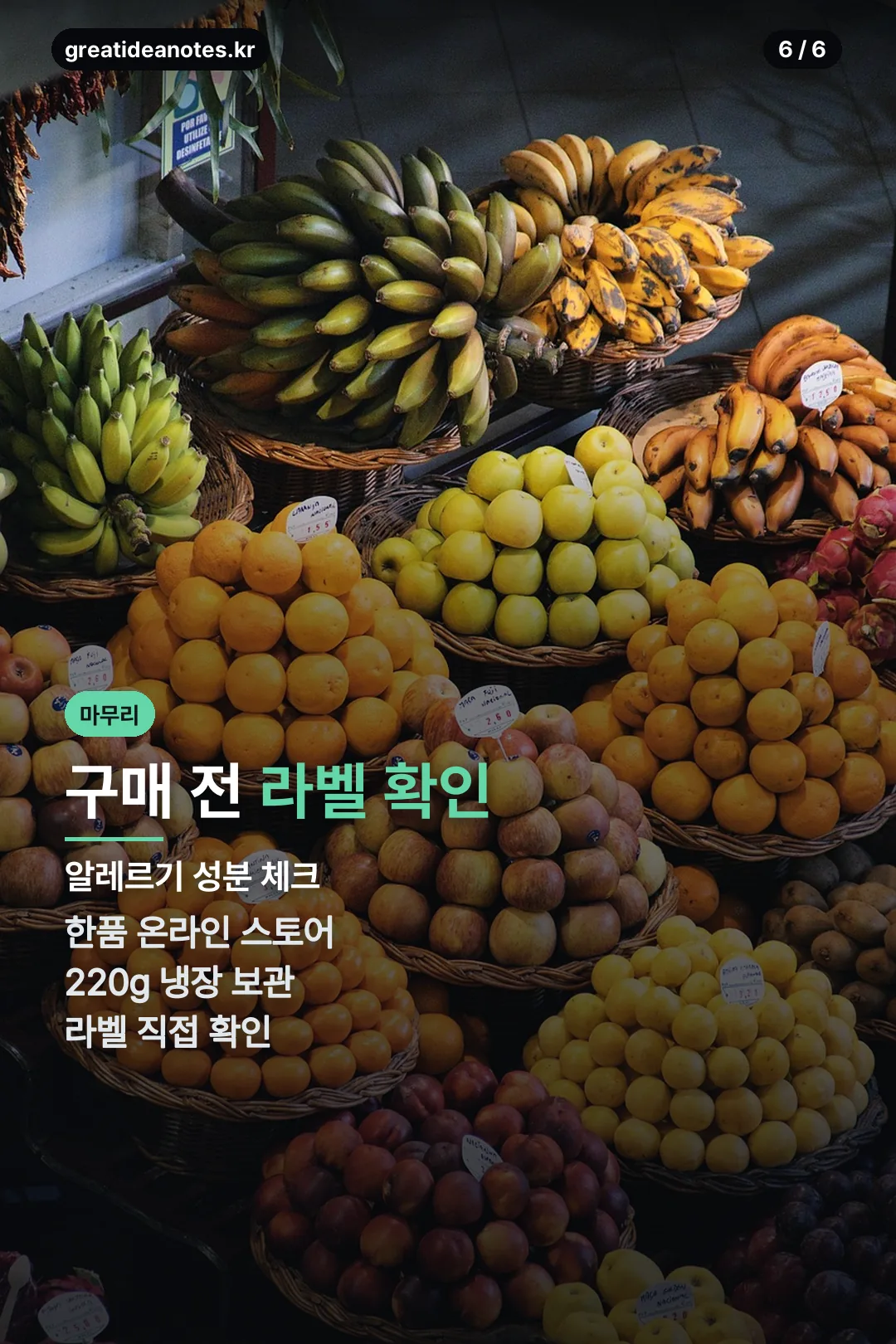 구매 전 확인사항