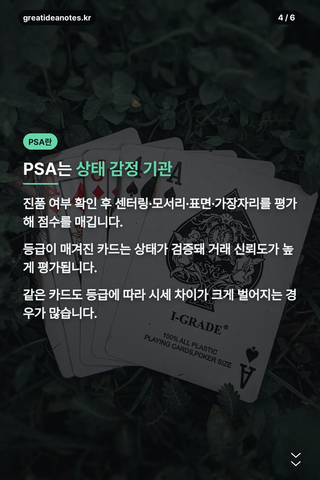 PSA 등급이란