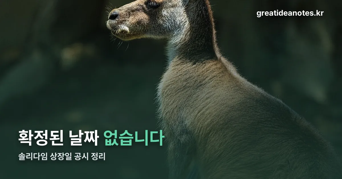 솔리다임 상장일 정리 썸네일