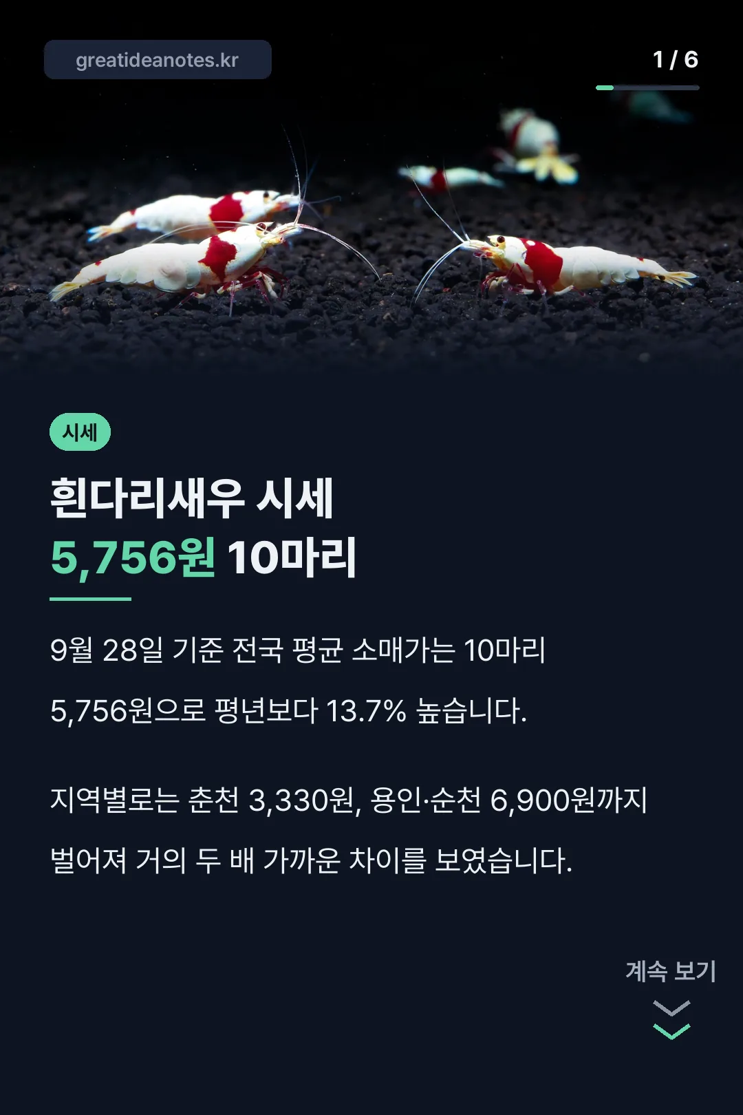 흰다리새우 시세 결론 카드