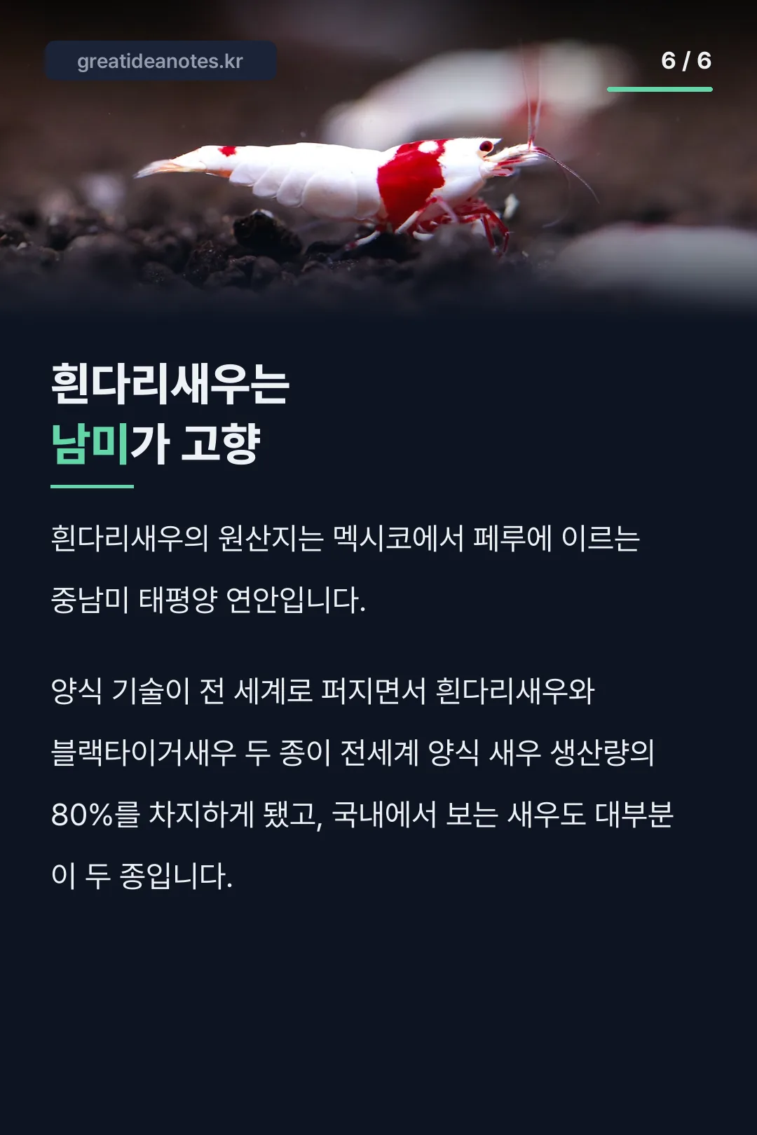 흰다리새우 원산지는 남미